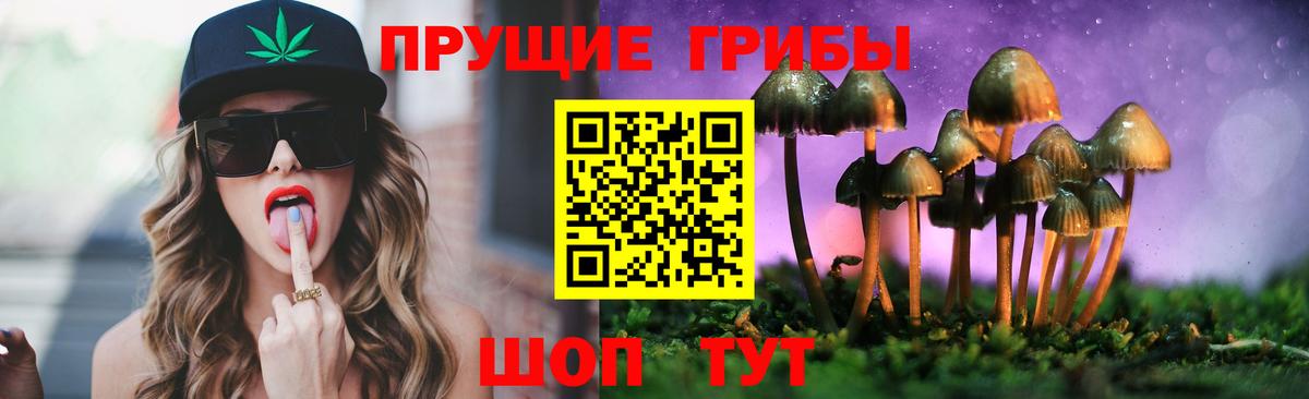 Гусиноозёрск  Галлюциногенные грибы Psilocybe  Вход с VPN 